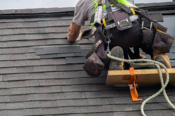 Best Roof Gutter Cleaning  in Tennille, GA